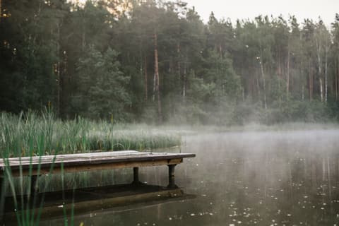 Wooden dock on a misty lake